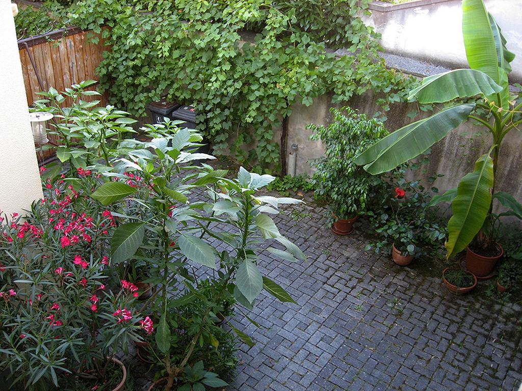 Die Sprachpension - The Language Guesthouse Vogtsburg Εξωτερικό φωτογραφία