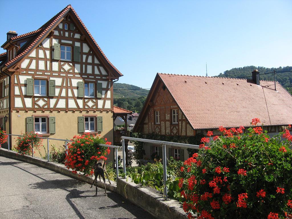 Die Sprachpension - The Language Guesthouse Vogtsburg Εξωτερικό φωτογραφία